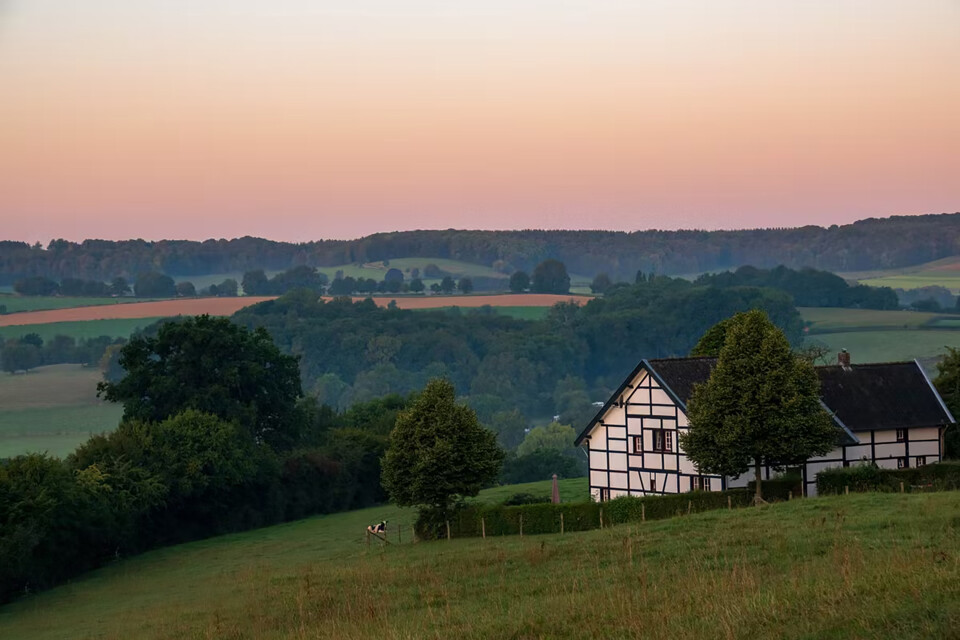 Cottessen 01